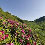 Apartment In Near Slopes *