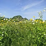 In Near Slopes * Damüls
