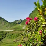 In Near Slopes