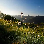 In Near Slopes