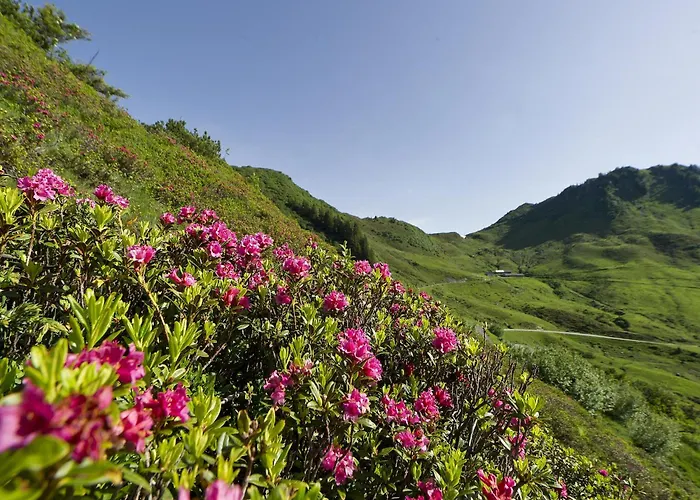 Apartment In Near Slopes *