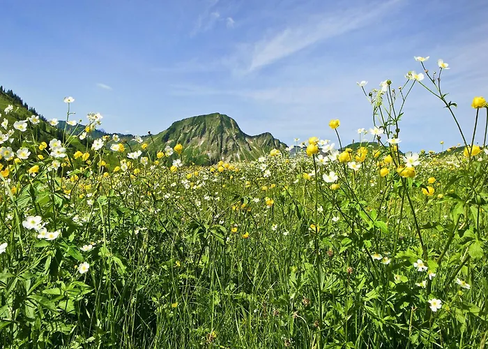 In Near Slopes * Damüls